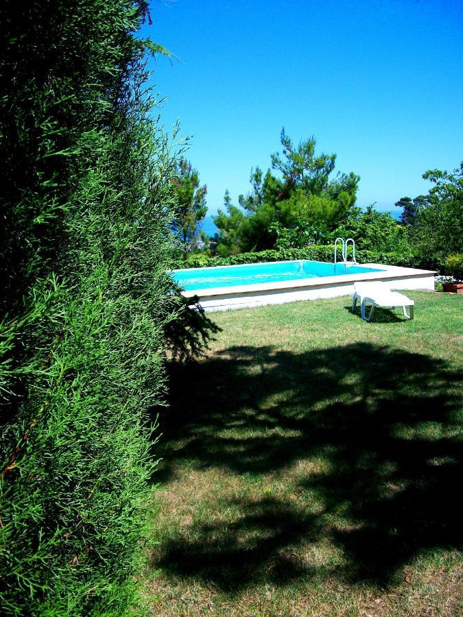 B&B Luna Blu Montesilvano Marina Exterior foto